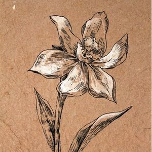 Meet your Posher, Hailey